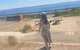 Fort Nepean And Quarantine Station Tour - thumb 3