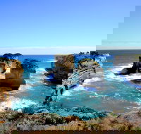 Great Ocean Road Small-Group Ecotour from Melbourne - Events Australia