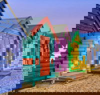 Phillip Island Penguin Brighton Beach Moonlit Sanctuary from Melbourne - Events Australia