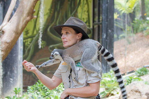 Currumbin Wildlife Sanctuary General Entry Ticket - Events Australia 1