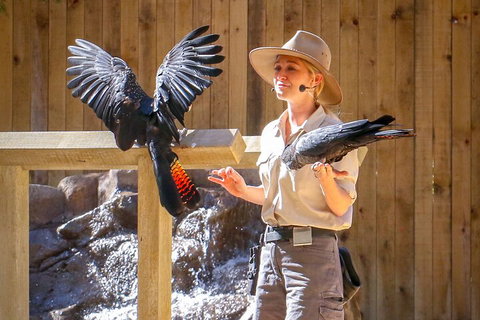 Currumbin Wildlife Sanctuary General Entry Ticket - Events Australia 4