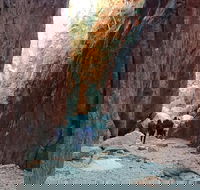 West MacDonnell Private Tour with Transfer - Events Australia