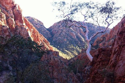West MacDonnell Private Tour With Transfer - Tourism Bookings 3