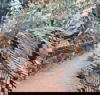 West MacDonnell Ranges Half - Day Tour - Events Australia