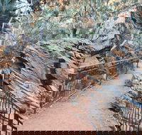 West MacDonnell Ranges Half-Day Private Charter Guided Tour - Events Australia