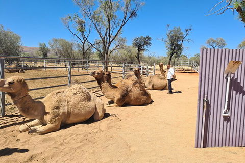 West MacDonnell Ranges Half-Day Small-Group Tour With Camel Ride - Tourism Bookings 0