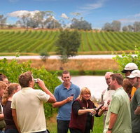 Yarra Valley Wine and Winery Tour from Melbourne - Tourism Bookings