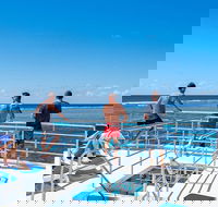 Calypso Outer Great Barrier Reef Cruise from Port Douglas - Events Australia