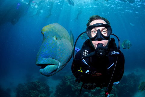 Full Day Reef Cruise Including 10 Minute Heli Scenic Flight: Get High Package - Events Australia 1