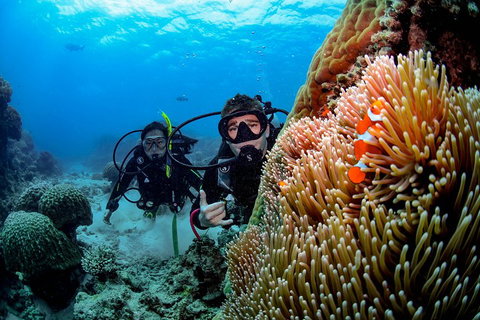 Full Day Reef Cruise Including 10 Minute Heli Scenic Flight: Get High Package - Events Australia 5