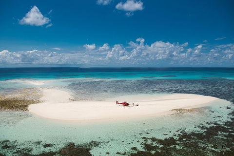Private Helicopter Tour: Reef Island Snorkeling And Gourmet Picnic Lunch - Events Australia 4