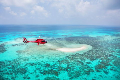 Private Helicopter Tour: Reef Island Snorkeling And Gourmet Picnic Lunch - Events Australia 5