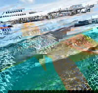 Scenic Helicopter Flight to Moore Reef and Return Snorkeling Cruise from Cairns - Events Australia