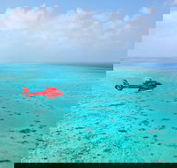 Port Douglas Scenic Flights - Events Australia