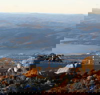 Mt. Wellington Bonorong and Richmond Day Tour from Hobart - Events Australia