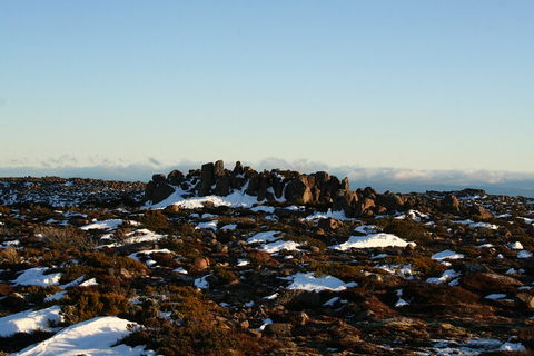 Mt. Wellington, Bonorong And Richmond Day Tour From Hobart - Events Australia 5