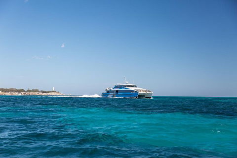 Fremantle To Rottnest Island Roundtrip Ferry Ticket - Events Australia 5