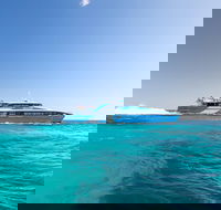 Rottnest Island All-Inclusive Grand Island Tour from Fremantle - Events Australia