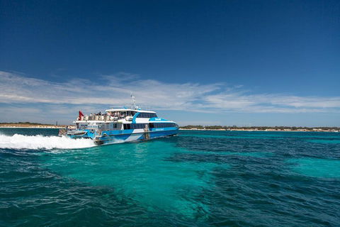 Perth To Rottnest Island Roundtrip Ferry Ticket - Events Australia 4