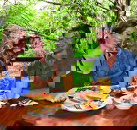 Breakfast with the Koalas at Hartley's Crocodile Park from Cairns or Palm Cove - Events Australia