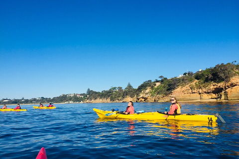 Mornington Peninsula Kayak Coastline Tour Of Dolphin Sanctuary - Events Australia 1