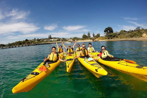 Mornington Peninsula Kayak Coastline Tour Of Dolphin Sanctuary - Events Australia 2
