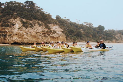 Mornington Peninsula Kayak Coastline Tour Of Dolphin Sanctuary - Events Australia 4