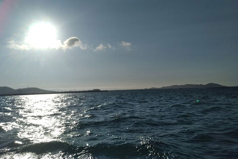 Townsville Small Group Early Morning Sailing Cruise Boat Tour Charter Hire - Events Australia 4