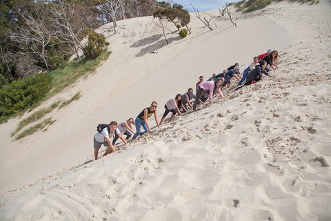 6-Day Tasmanian Explorer Adventure Tour From Hobart - Events Australia 2
