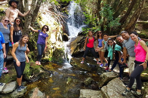 7-Day Super Value Tour Of Tasmania: Explore Tasmania's West And East Coasts - Events Australia 2