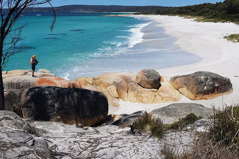 2-Day Tas East Coast Escape Tour Including Bay Of Fires, Wineglass Bay & Devils - Events Australia 4