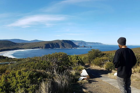 4-Day Fabulous Tasmania Tour: Wineglass Bay, Port Arthur, Devils & Bruny Island - Accommodation Europe 0