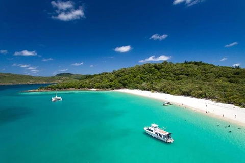 Whitehaven Beach And Hill Inlet | Awesome Beach BBQ | Family Friendly - Events Australia 3