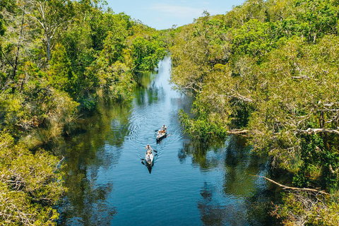 Cruise 'n' Canoe To Australia's Everglades - Tourism Bookings 3