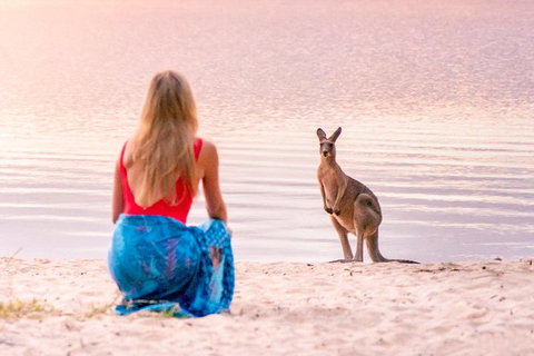 Cruise 'n' Canoe To Australia's Everglades - Tourism Bookings 5