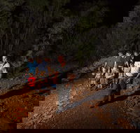 Alice Springs Desert Park Nocturnal Tour - Events Australia