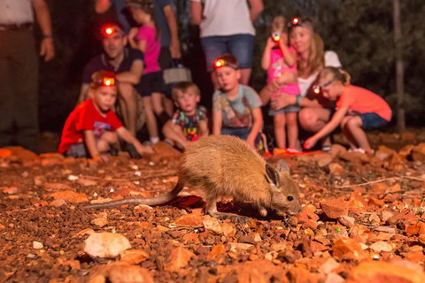 Alice Springs Desert Park Nocturnal Tour - Events Australia 1