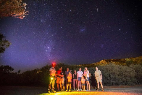 Alice Springs Desert Park Nocturnal Tour - Events Australia 2