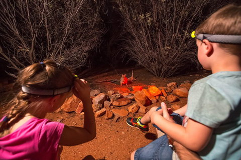 Alice Springs Desert Park Nocturnal Tour - Events Australia 4