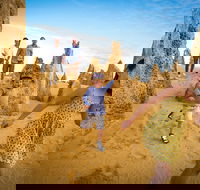 Full-Day Pinnacles Desert and Yanchep National Park Tour From Perth - Events Australia