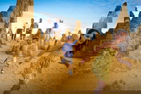 Full-Day Pinnacles Desert and Yanchep National Park Tour From Perth