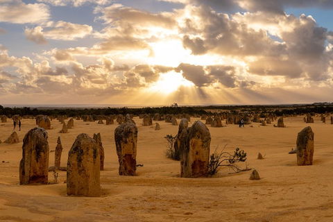 Half Day Pinnacles Sunset Tour - Events Australia 0