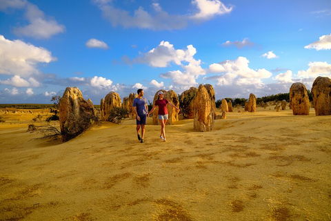 Half Day Pinnacles Sunset Tour - Events Australia 1