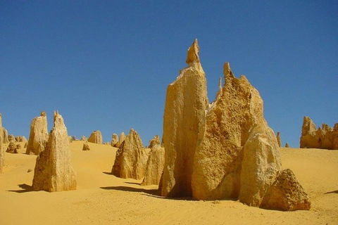 Half Day Pinnacles Sunset Tour - Events Australia 2