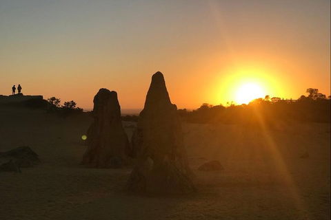 Half Day Pinnacles Sunset Tour - Events Australia 3