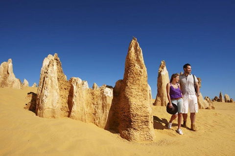 Half Day Pinnacles Sunset Tour - Events Australia 4