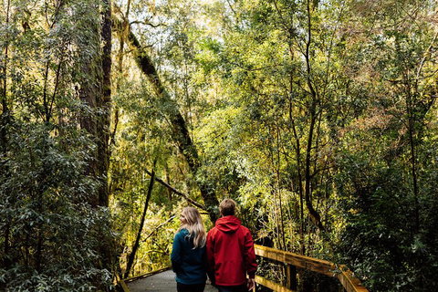 Gordon River Cruise Departing From Strahan - Tourism Bookings 2