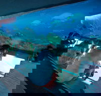 Great Barrier Reef Day Cruise to Reefworld - Events Australia