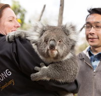 Bonorong Wildlife Park and Richmond Afternoon Tour from Hobart - Events Australia