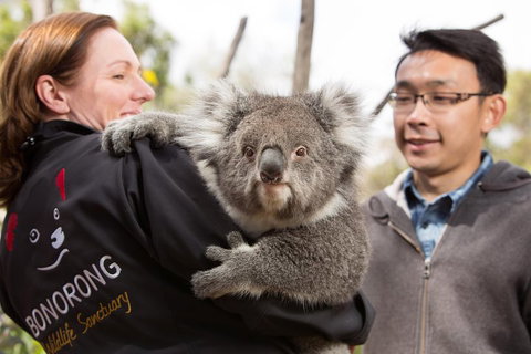 Bonorong Wildlife Park And Richmond Afternoon Tour From Hobart - Tourism Bookings 0
